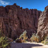 Although the surroundings are pretty barren, there is still some plant life in the wide wash of the Painted Canyon Trail.