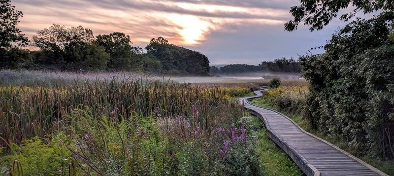 A few steps onto the Appalachian Trail Boardwalk and this view already makes it a perfect morning.