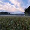 On the Appalachian Trail Boardwalk, enjoy views of Wawayanda Mountain in the distance.