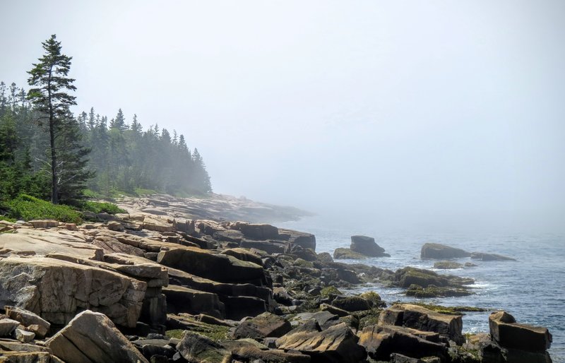 Hop across the road from the Anvil Trail to soak up this gorgeous Schoodic Peninsula coastal landscape.