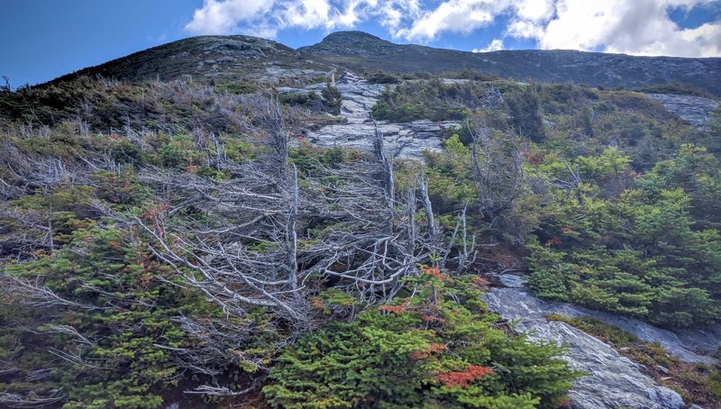 Don't be discouraged by the Sunset Ridge Trail's strenuous climbing and multiple false summits. The view up top is worth it all!