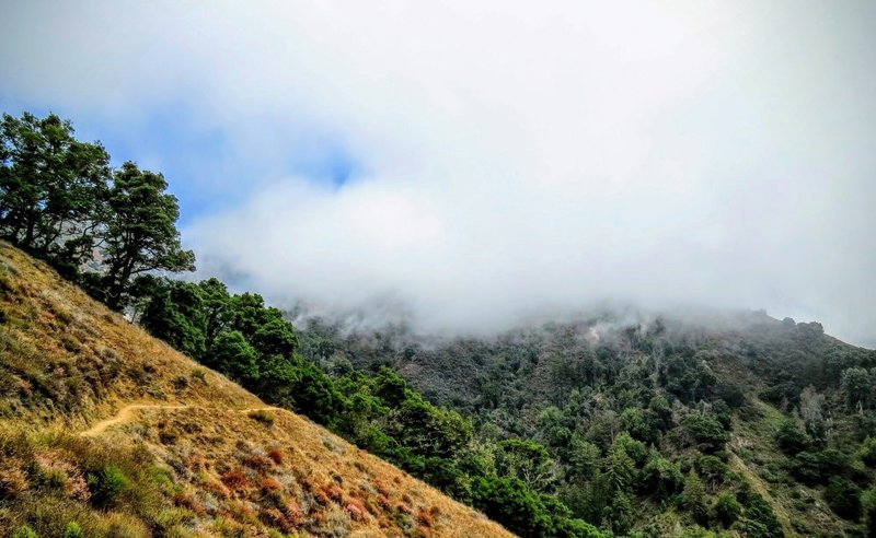 Looking east from the Ewoldsen Trail, enjoy this great view.