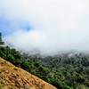 Looking east from the Ewoldsen Trail, enjoy this great view.