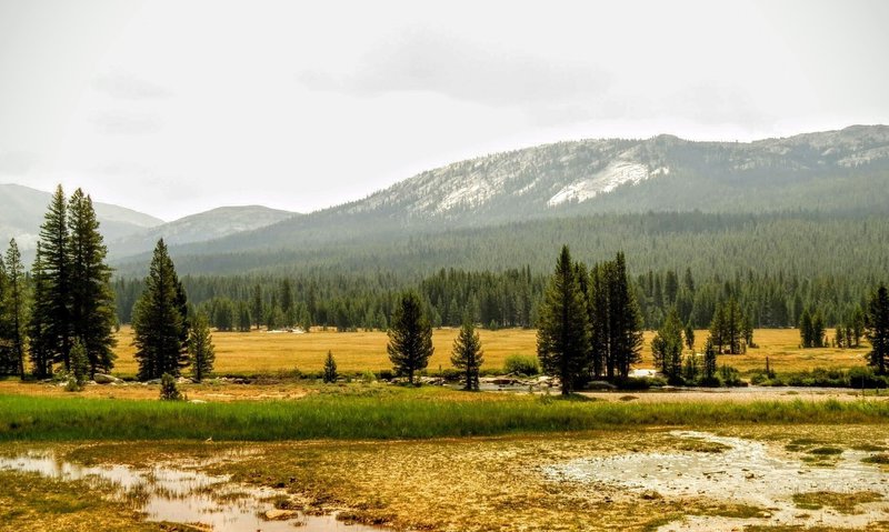 Enjoy phenomenal views of Tuolumne Meadows from Soda Springs.