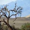 Mesquite Flat Sand Dunes are great fun to explore.