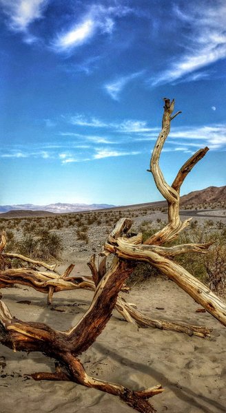 Mesquite Flat Sand Dunes are a must see on your trip to Death Valley National Park.