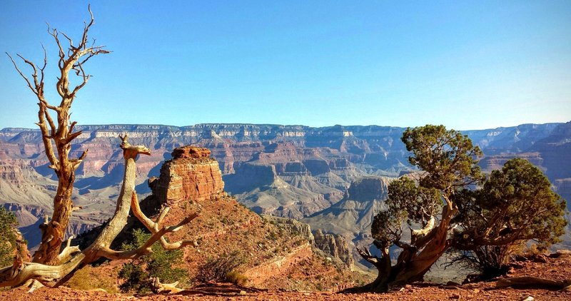 Soak up the stellar Grand Canyon views from Cedar Ridge off the South Kaibab Trail.