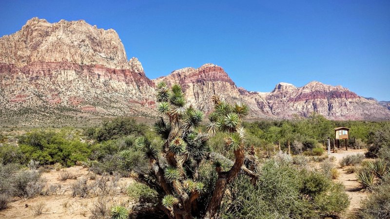 The First Creek Canyon Trailhead offers an informative kiosk and great views to get you psyched on the trail ahead!