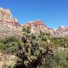 The First Creek Canyon Trailhead offers an informative kiosk and great views to get you psyched on the trail ahead!