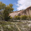 The Escalante Riverbed is nestled within these tall sandstone walls.