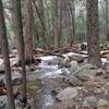 Water flows through dense forests at the base of Bridalveil Falls.