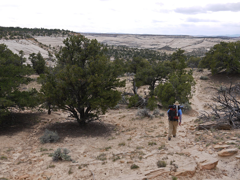 My hiking companion makes his way down McGath Point Bench near the start of the Boulder Mail Trail.