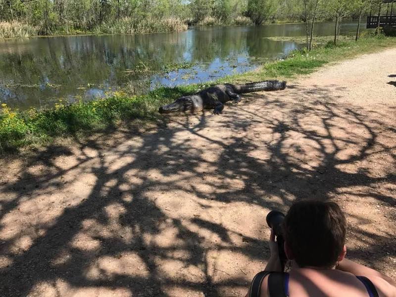 Sometimes you have to pass close to alligators – they're normally chill about it, but be safe.