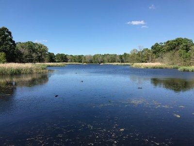 Creekfield Lake glimmers on a beautiful spring day.