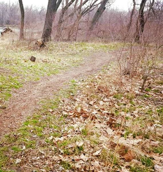 Enjoy pleasant forests near the river on the Sycamore Trail.