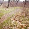 Enjoy pleasant forests near the river on the Sycamore Trail.