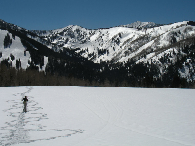 Snowshoeing up to Willow Heights leads to incredible views!