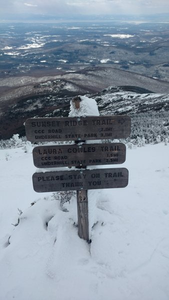 In case you get turned around, look for this sign marking the Laura Cowles and Sunset Ridge Trail junction.