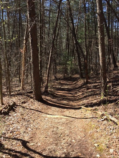 The Unicoi/Helen Trail is beautifully built.