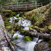 This is just one of the many bridges on this trail.