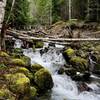 This is another view of the troll-guarded bridge across Skinwood Creek.