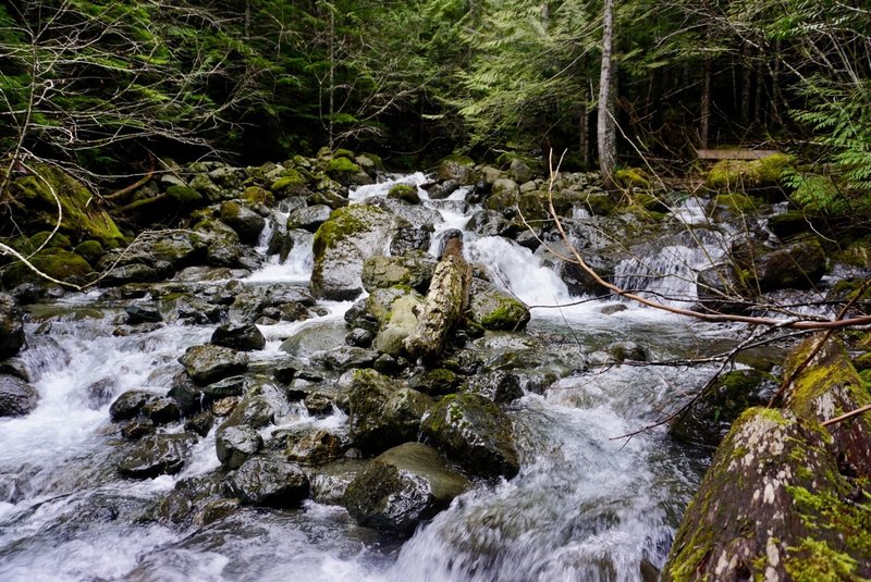 This raging creek along the trail has some deep pools.