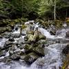 This raging creek along the trail has some deep pools.