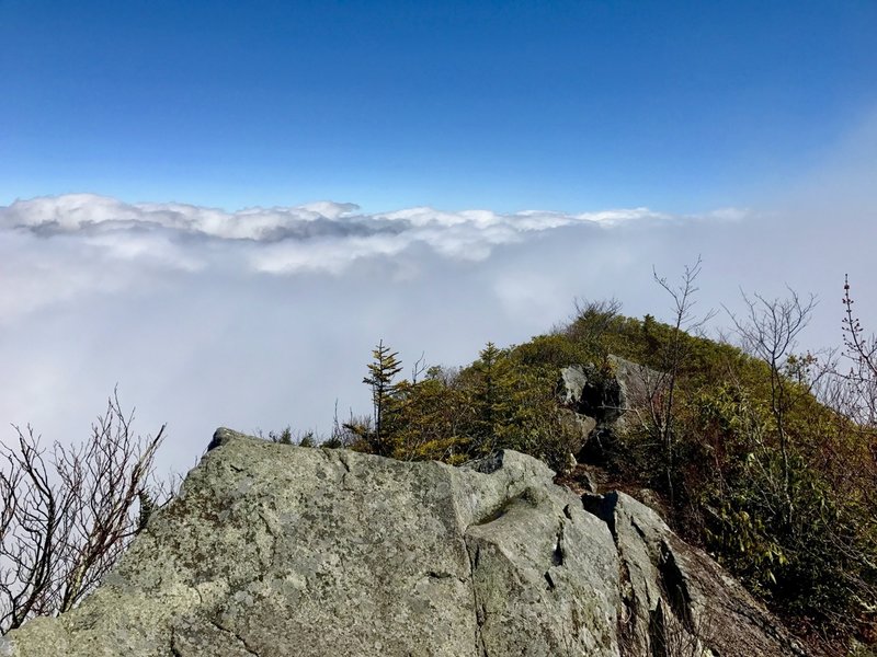 Mount Cammerer Lookout Tower quite literally puts you amidst the clouds.