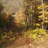 This strip of deforested land is just south of where Ramapo Dunderberg meets Tuxedo - Mt. Ivy.