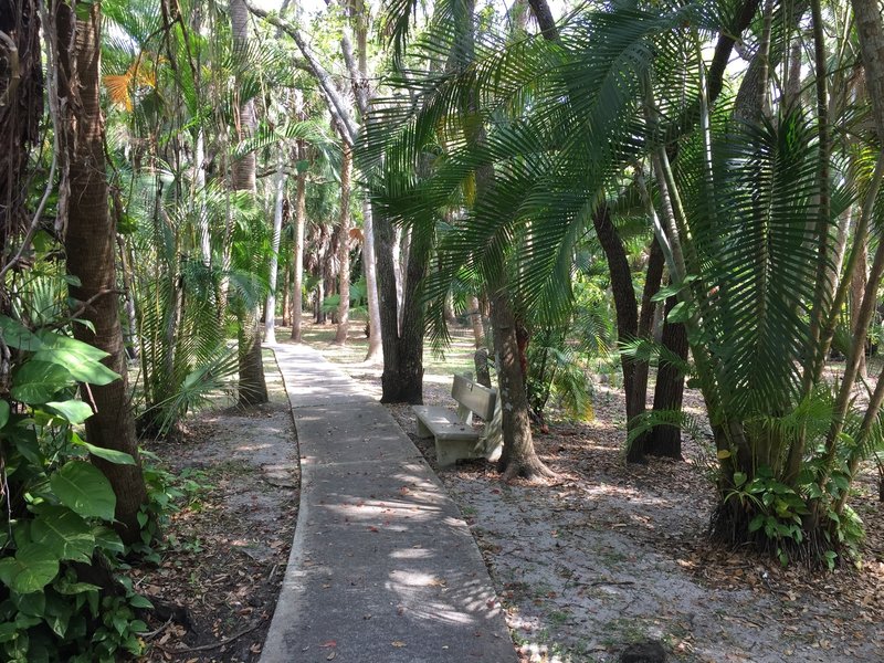 These are just a few of the 60 species of palm in the garden. Take a seat on one of the park's numerous benches and enjoy them!