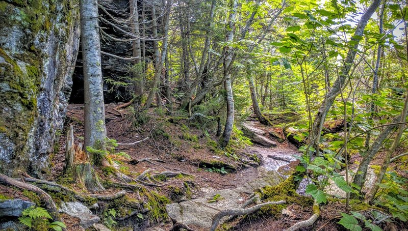 Toward the base of Mount Mansfield, the Sunset Ridge Trail traverses thick forests rife with roots and rocks.