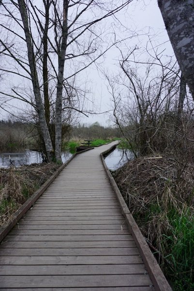 Floating pathways aid your passage over uneasy ground and water along the Clear Creek Trail.