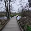 Floating pathways aid your passage over uneasy ground and water along the Clear Creek Trail.