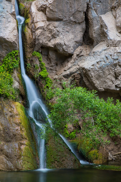 Darwin Falls cascades peacefully down the rocks into a pool below.