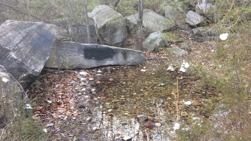 A small pond exists near the trail as a result of area drainage.