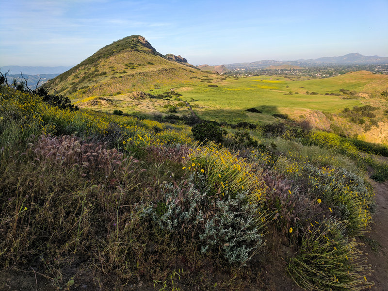 Wildflowers bloom along the climb toward Lizard Rock. On your way up, enjoy views of Mountclef Ridge and the mesa.