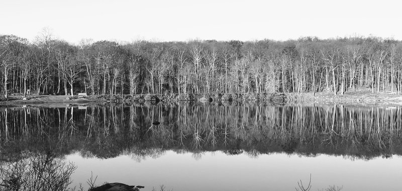 Peaceful mornings at Saffin Pond are coveting things.