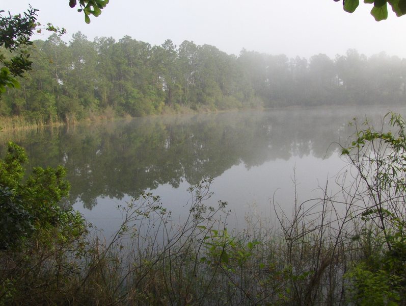 Mist floats over the lake at Trout Creek Park.