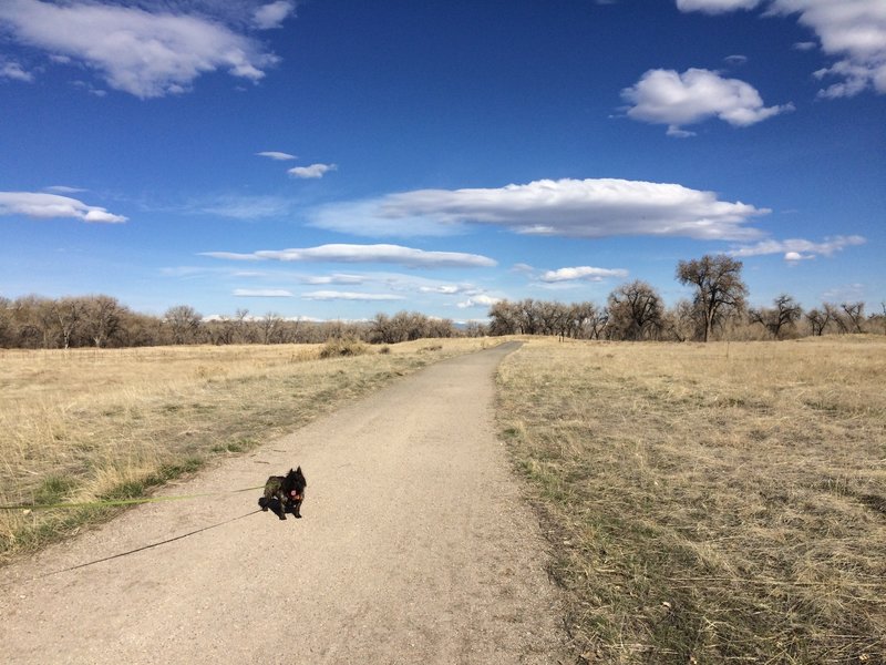 Sand Creek Greenway Trail is pleasantly surfaced with fine gravel, making it easy on both your and Fido's feet.