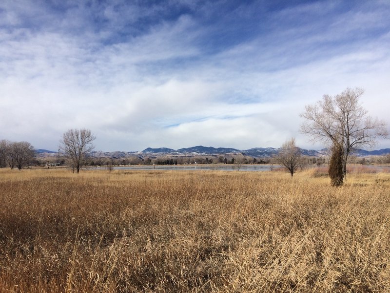 The trails around the lake are great for dog walking. Many birds, eagles, hawks, geese, and ducks live on and around the water, making for great wildlife viewing as well.