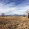 The trails around the lake are great for dog walking. Many birds, eagles, hawks, geese, and ducks live on and around the water, making for great wildlife viewing as well.