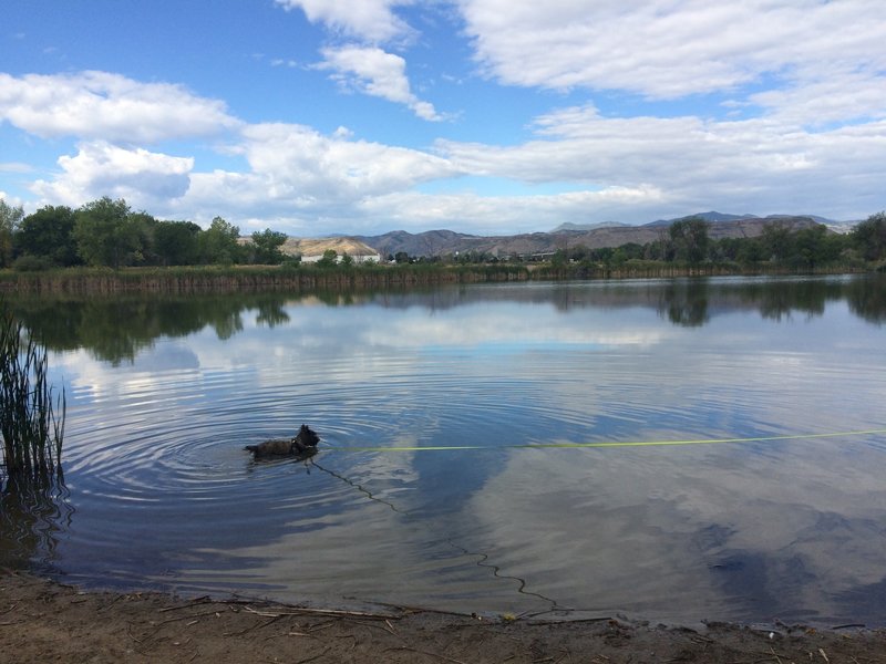 Bass Lake offers great views of the mountains beyond and a perfect place for Fido to swim. Watch out for fishing line left behind by fisherman.