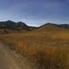 A nice trail into the Boulder foothills.