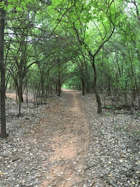 Possom Hollow along the Arcadia Lake Trail.