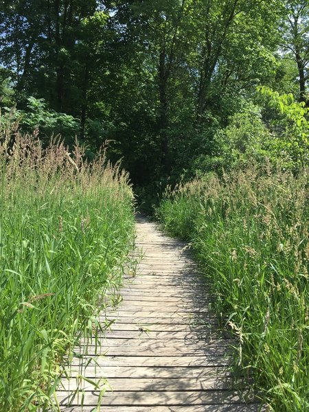 One of the wooden path sections.