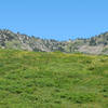 Yellow wildflowers bloom in the verdant Big Flat area.