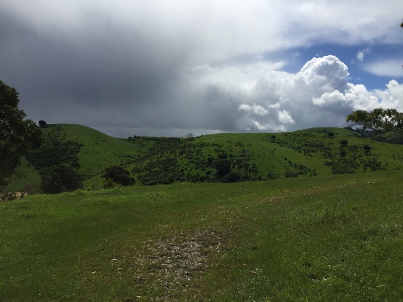 Hillside views from the Carquinez Outer Loop Trail.