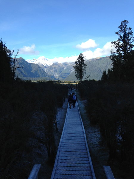 Boardwalk at Lake Matheson.