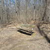 Birds often congregate on this bench along the Deer Run Trail.