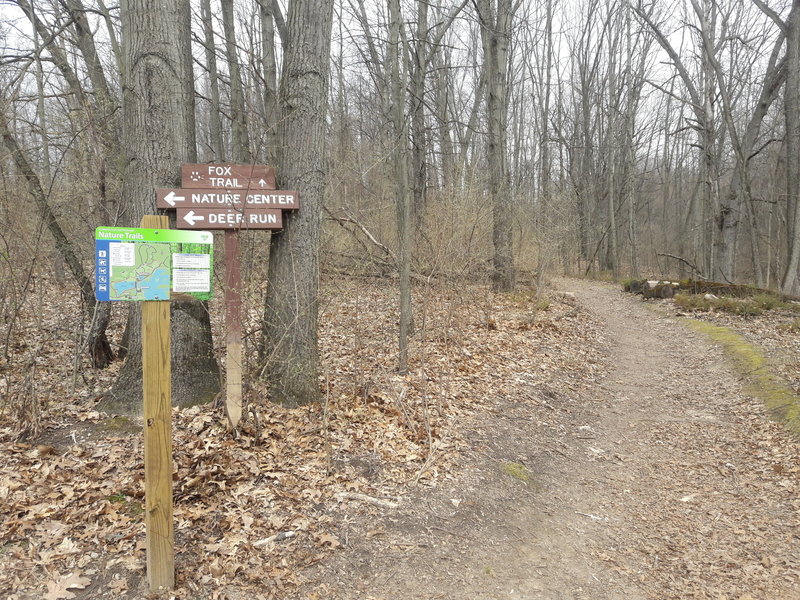 This junction shows confusing old signs; if entering the loop from the east side, following the "Fox Trail" puts you onto the new Chickadee Trail.